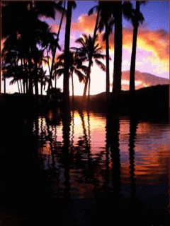 вода на фоне пальм. 53 анимационаая картинка, гиф