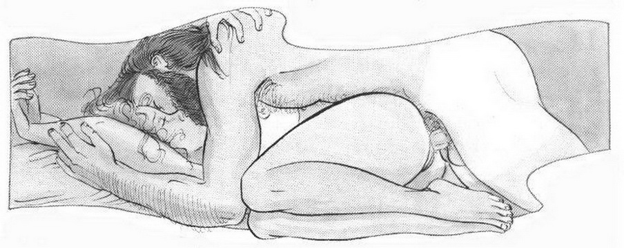 секс сзади на боку. картинка художественной эротики