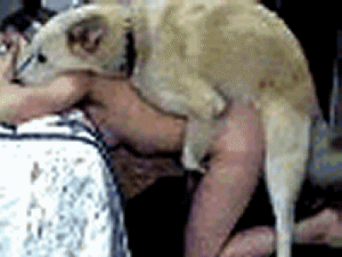 Animals porn - секс с животными, порно гиф