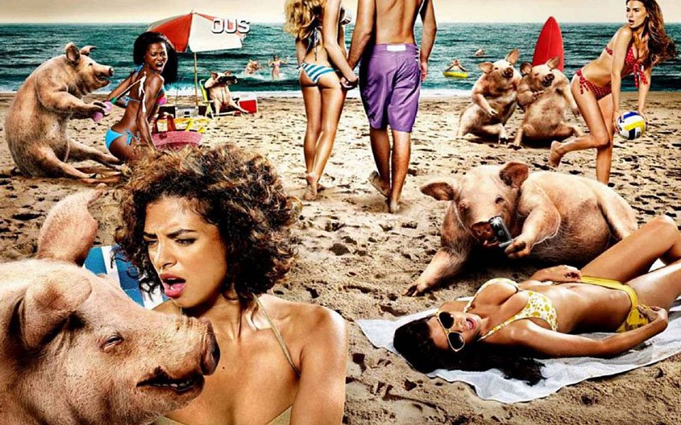 свиньи пристают к девушкам на пляже. реклама мужских шортов, сексуальная реклама, эротика в рекламе фото